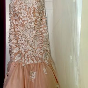 Wedding dress blush with ornate overlay
